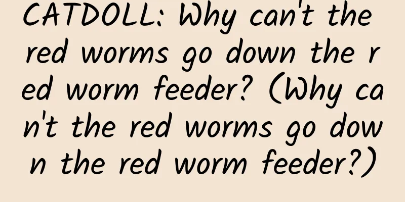 CATDOLL: Why can't the red worms go down the red worm feeder? (Why can't the red worms go down the red worm feeder?)