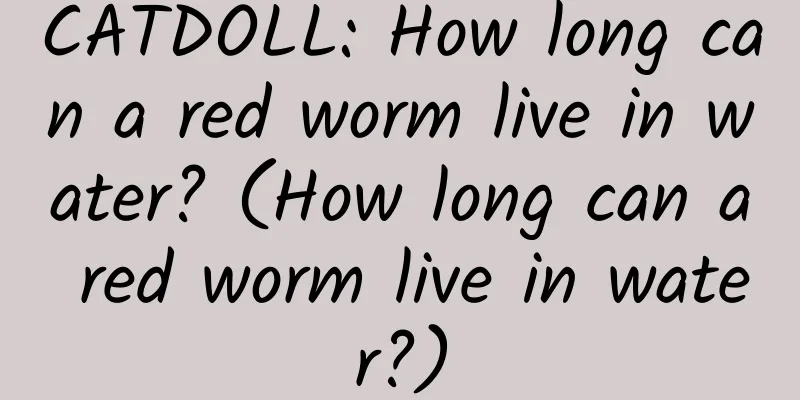CATDOLL: How long can a red worm live in water? (How long can a red worm live in water?)