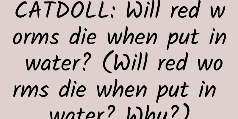 CATDOLL: Will red worms die when put in water? (Will red worms die when put in water? Why?)
