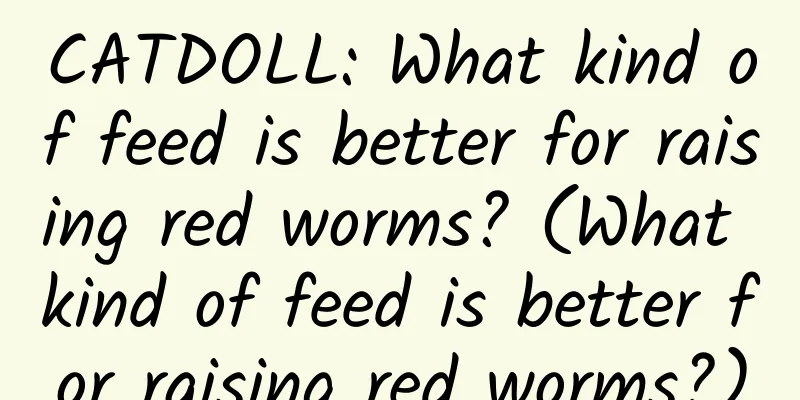 CATDOLL: What kind of feed is better for raising red worms? (What kind of feed is better for raising red worms?)