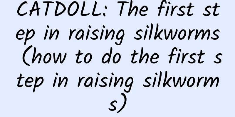CATDOLL: The first step in raising silkworms (how to do the first step in raising silkworms)