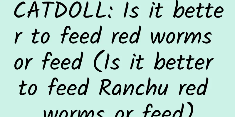 CATDOLL: Is it better to feed red worms or feed (Is it better to feed Ranchu red worms or feed)