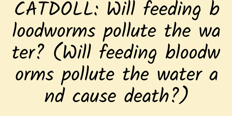 CATDOLL: Will feeding bloodworms pollute the water? (Will feeding bloodworms pollute the water and cause death?)