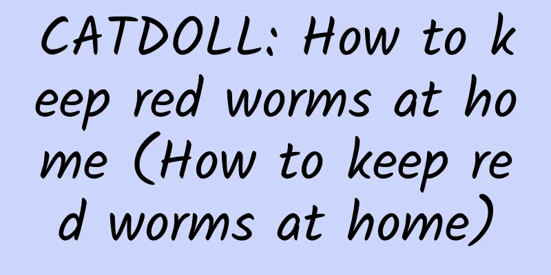 CATDOLL: How to keep red worms at home (How to keep red worms at home)