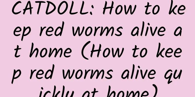 CATDOLL: How to keep red worms alive at home (How to keep red worms alive quickly at home)