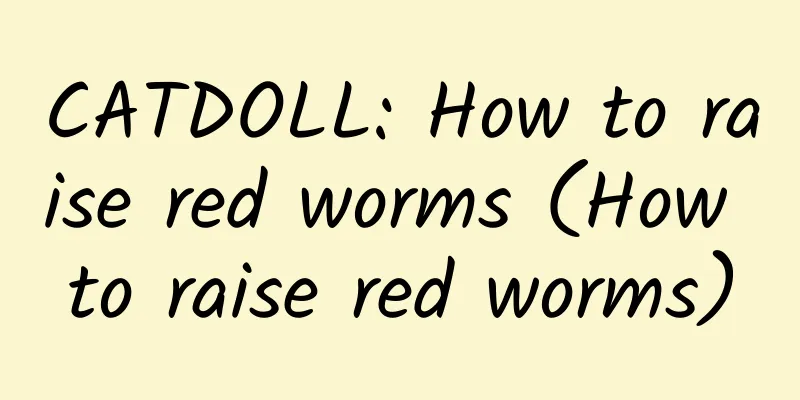 CATDOLL: How to raise red worms (How to raise red worms)