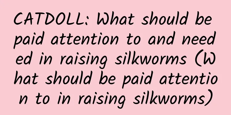 CATDOLL: What should be paid attention to and needed in raising silkworms (What should be paid attention to in raising silkworms)