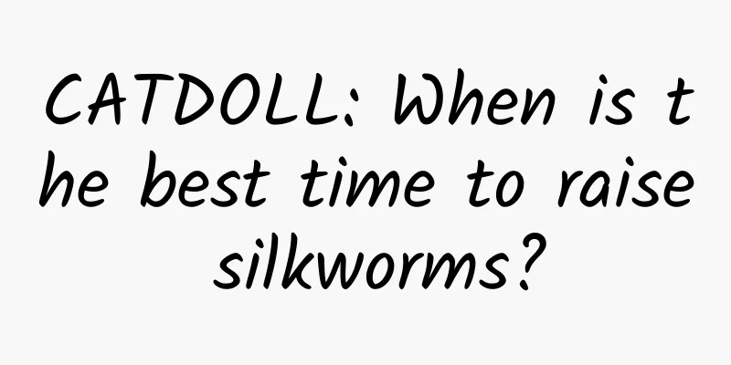 CATDOLL: When is the best time to raise silkworms?