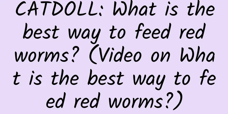 CATDOLL: What is the best way to feed red worms? (Video on What is the best way to feed red worms?)
