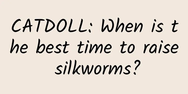 CATDOLL: When is the best time to raise silkworms?