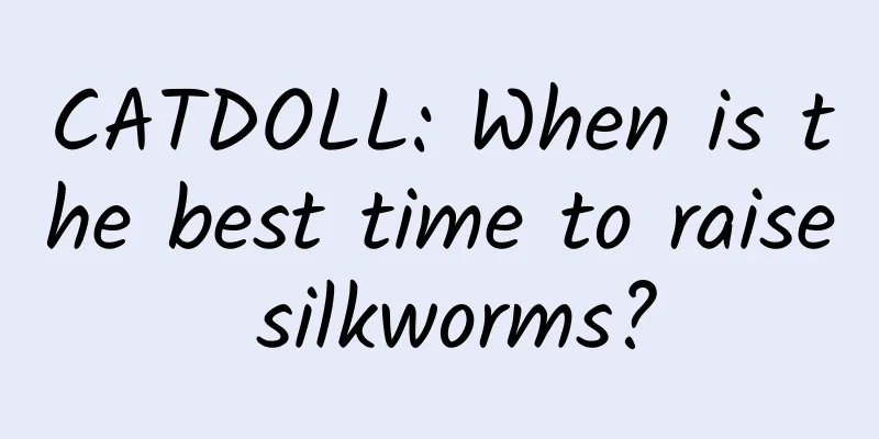 CATDOLL: When is the best time to raise silkworms?