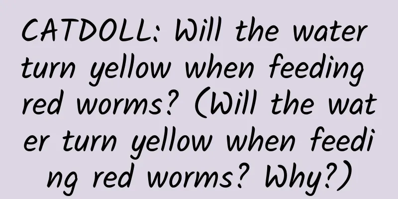 CATDOLL: Will the water turn yellow when feeding red worms? (Will the water turn yellow when feeding red worms? Why?)
