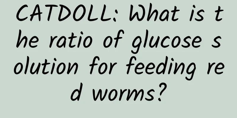 CATDOLL: What is the ratio of glucose solution for feeding red worms?