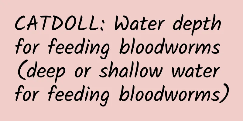 CATDOLL: Water depth for feeding bloodworms (deep or shallow water for feeding bloodworms)