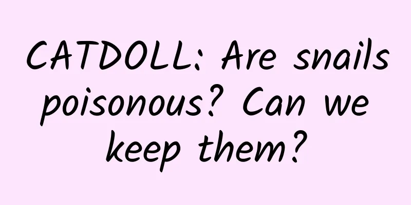 CATDOLL: Are snails poisonous? Can we keep them?