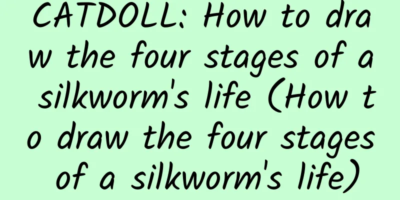 CATDOLL: How to draw the four stages of a silkworm's life (How to draw the four stages of a silkworm's life)