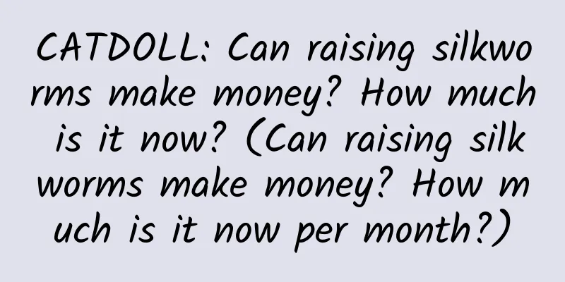CATDOLL: Can raising silkworms make money? How much is it now? (Can raising silkworms make money? How much is it now per month?)