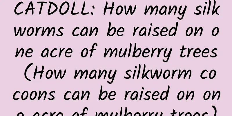 CATDOLL: How many silkworms can be raised on one acre of mulberry trees (How many silkworm cocoons can be raised on one acre of mulberry trees)