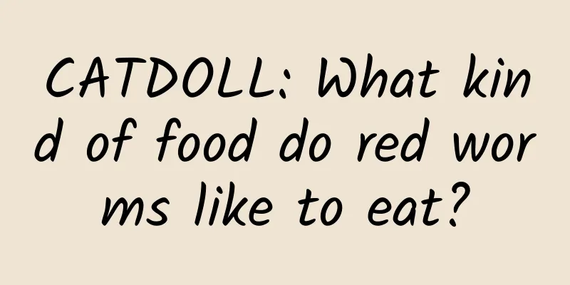 CATDOLL: What kind of food do red worms like to eat?
