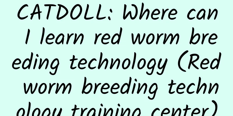 CATDOLL: Where can I learn red worm breeding technology (Red worm breeding technology training center)