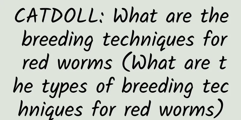 CATDOLL: What are the breeding techniques for red worms (What are the types of breeding techniques for red worms)