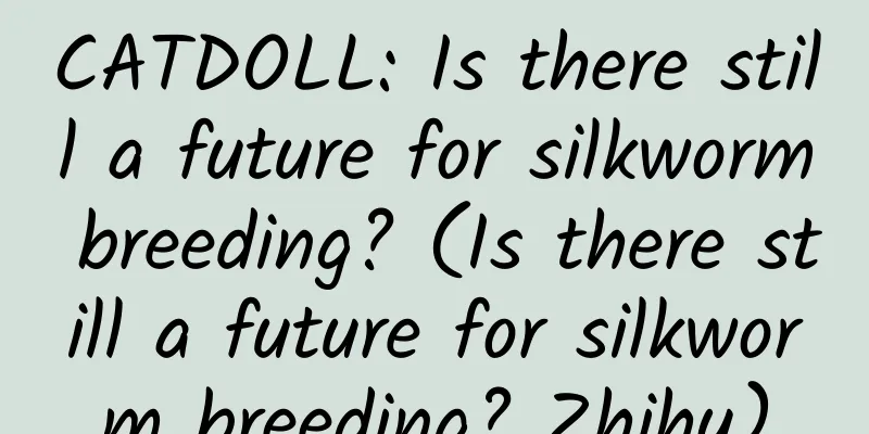 CATDOLL: Is there still a future for silkworm breeding? (Is there still a future for silkworm breeding? Zhihu)