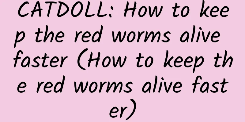 CATDOLL: How to keep the red worms alive faster (How to keep the red worms alive faster)