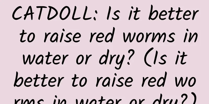 CATDOLL: Is it better to raise red worms in water or dry? (Is it better to raise red worms in water or dry?)