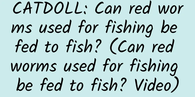 CATDOLL: Can red worms used for fishing be fed to fish? (Can red worms used for fishing be fed to fish? Video)