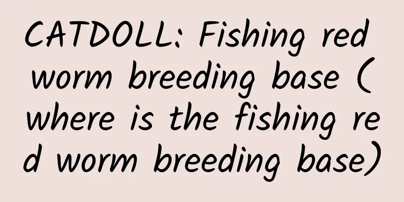 CATDOLL: Fishing red worm breeding base (where is the fishing red worm breeding base)