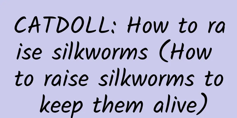 CATDOLL: How to raise silkworms (How to raise silkworms to keep them alive)