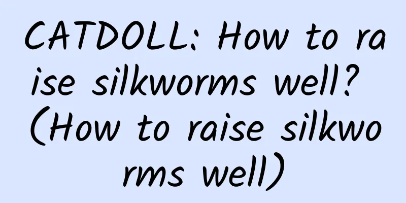 CATDOLL: How to raise silkworms well? (How to raise silkworms well)
