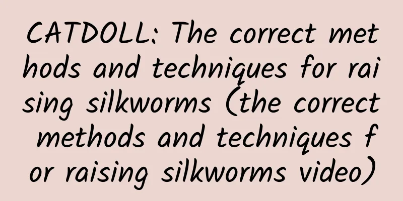 CATDOLL: The correct methods and techniques for raising silkworms (the correct methods and techniques for raising silkworms video)