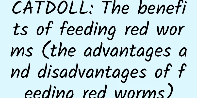 CATDOLL: The benefits of feeding red worms (the advantages and disadvantages of feeding red worms)