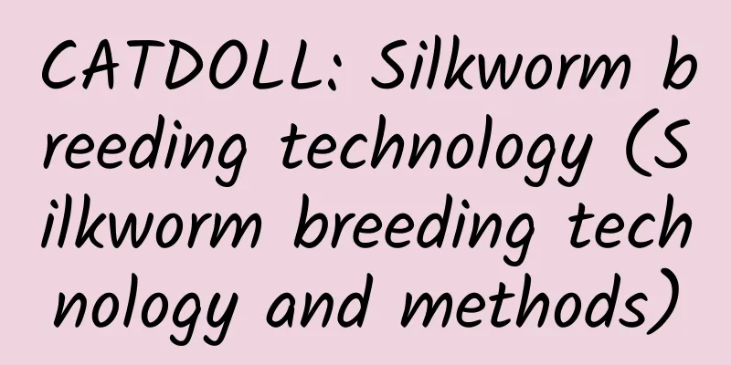 CATDOLL: Silkworm breeding technology (Silkworm breeding technology and methods)