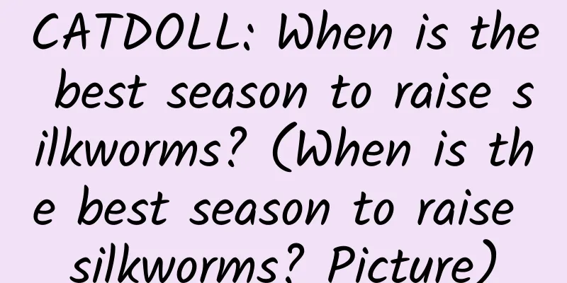 CATDOLL: When is the best season to raise silkworms? (When is the best season to raise silkworms? Picture)