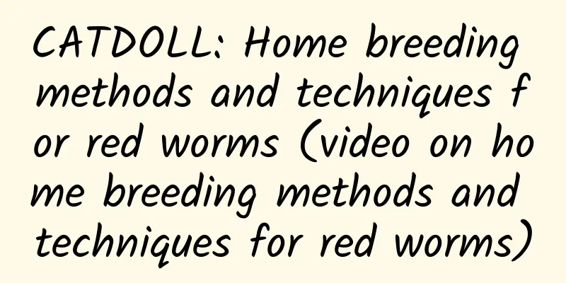 CATDOLL: Home breeding methods and techniques for red worms (video on home breeding methods and techniques for red worms)