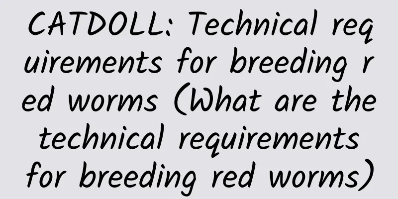 CATDOLL: Technical requirements for breeding red worms (What are the technical requirements for breeding red worms)