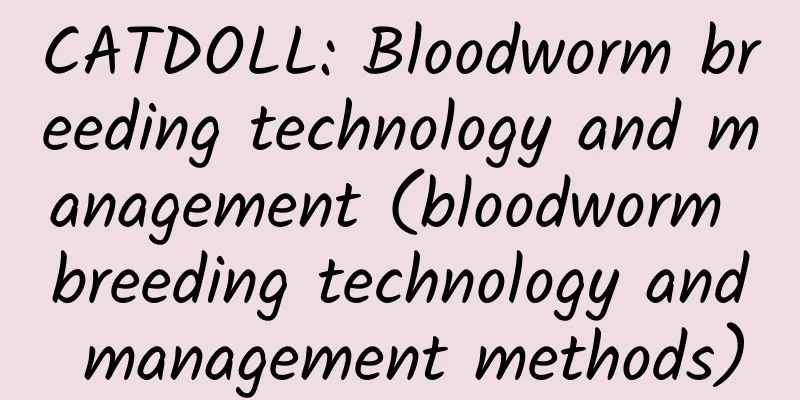 CATDOLL: Bloodworm breeding technology and management (bloodworm breeding technology and management methods)