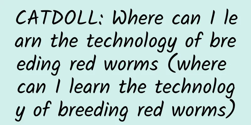 CATDOLL: Where can I learn the technology of breeding red worms (where can I learn the technology of breeding red worms)