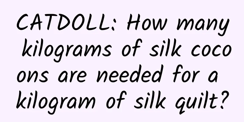 CATDOLL: How many kilograms of silk cocoons are needed for a kilogram of silk quilt?