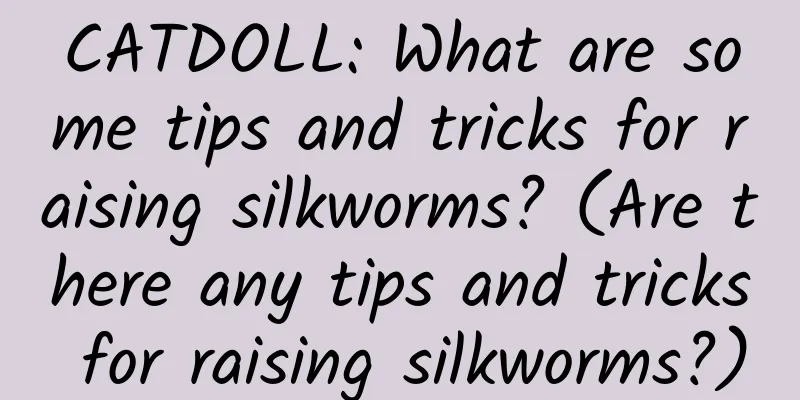CATDOLL: What are some tips and tricks for raising silkworms? (Are there any tips and tricks for raising silkworms?)
