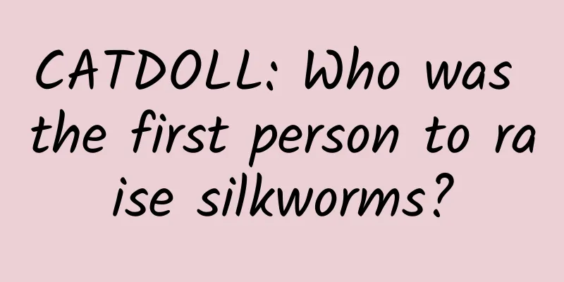 CATDOLL: Who was the first person to raise silkworms?
