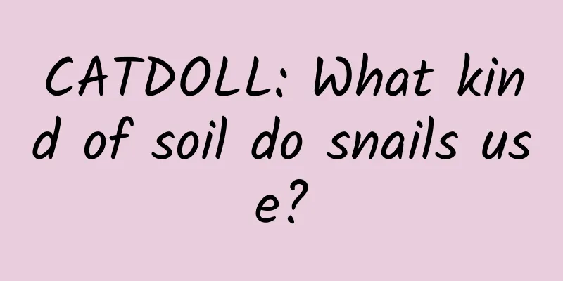 CATDOLL: What kind of soil do snails use?