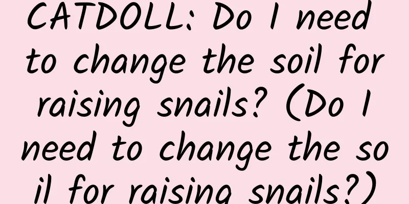 CATDOLL: Do I need to change the soil for raising snails? (Do I need to change the soil for raising snails?)