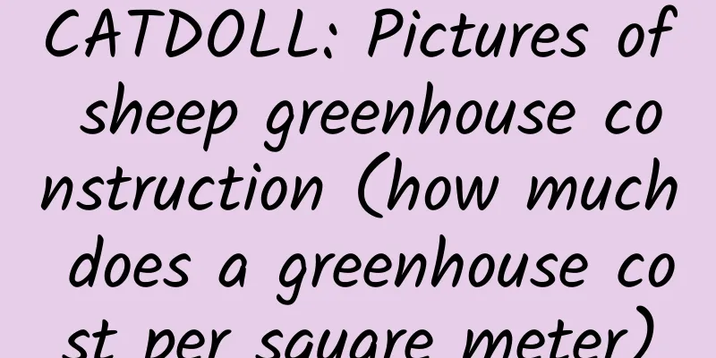 CATDOLL: Pictures of sheep greenhouse construction (how much does a greenhouse cost per square meter)
