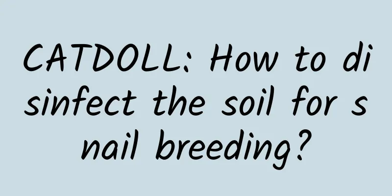 CATDOLL: How to disinfect the soil for snail breeding?