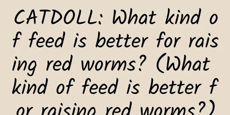 CATDOLL: What kind of feed is better for raising red worms? (What kind of feed is better for raising red worms?)