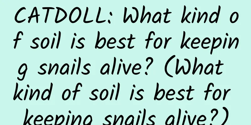 CATDOLL: What kind of soil is best for keeping snails alive? (What kind of soil is best for keeping snails alive?)