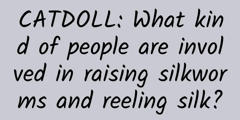 CATDOLL: What kind of people are involved in raising silkworms and reeling silk?